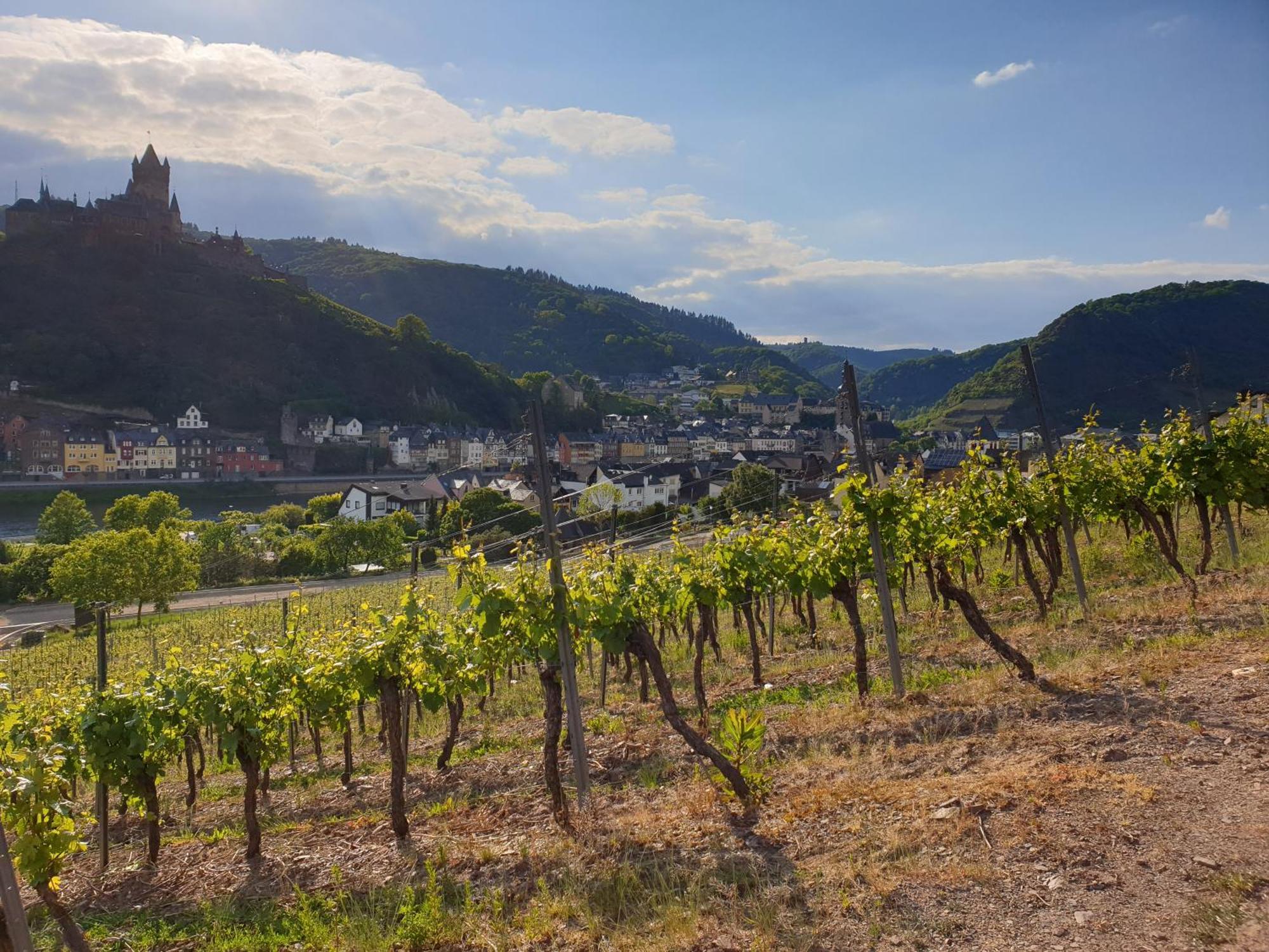 Weingut Haxel Hotel โคเคห์ม ภายนอก รูปภาพ